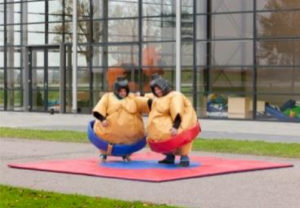 Location jeu sumo gonflable - Lorraine