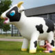 Location vache à traire gonflable