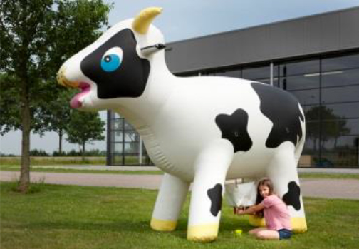 Location vache à traire gonflable
