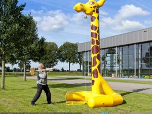 Location mailloche girafe gonflable - Nancy, Lorraine